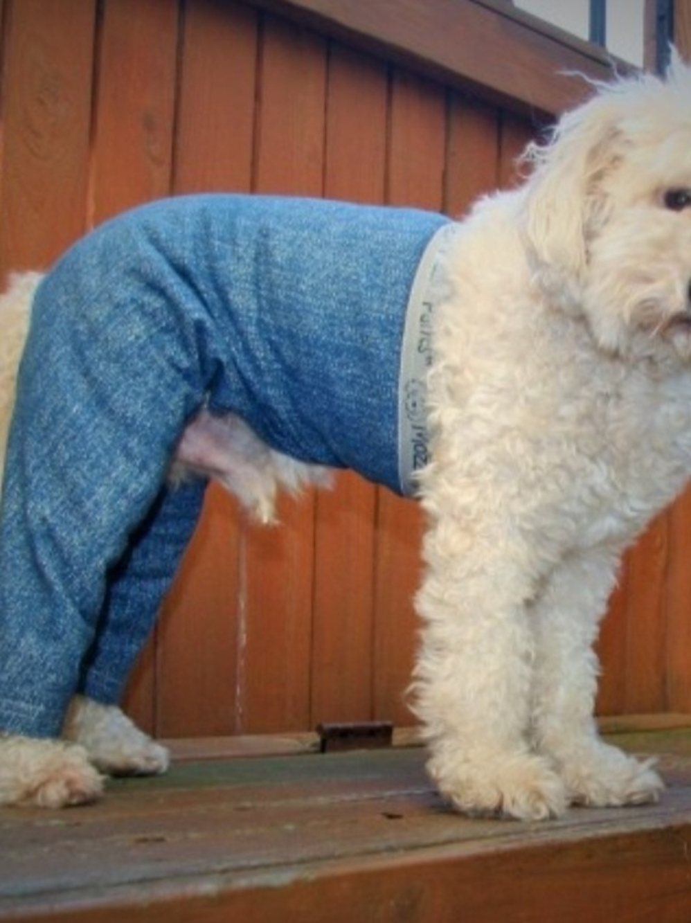 Mozzie Pants